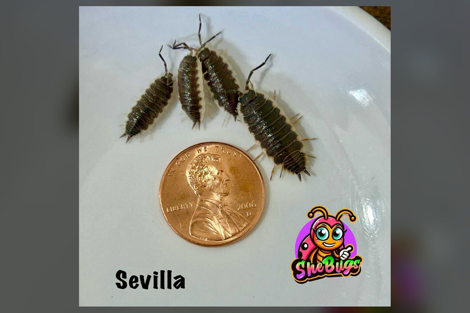 Sevilla